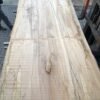 Buche 250x90x6cm – Bild 9