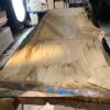 Buche 250x90x6cm – Bild 12