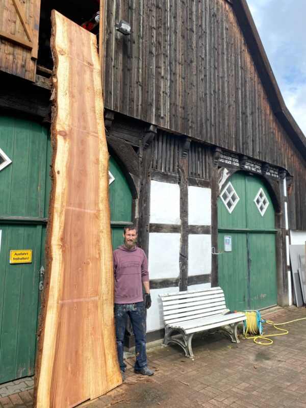 Mammutbaum Tisch XXL 450cm Länge – Bild 2