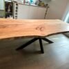 Buche 250x90x6cm – Bild 2