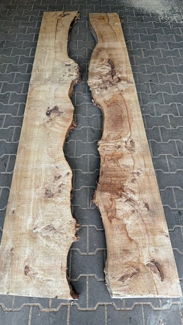 Maserpappel 300cm 8cm stark verschiedene Breiten – Bild 2