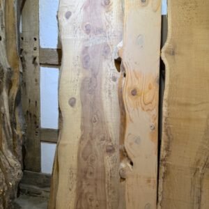 Mammutbaum 235x65x5cm