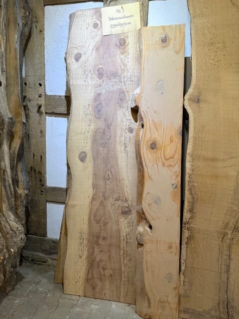 Mammutbaum 235x65x5cm