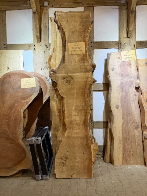 Maserpappel 300cm 8cm stark verschiedene Breiten – Bild 4