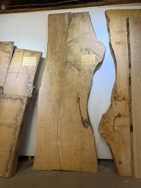 Buche XXL 330x100-130x5,2cm