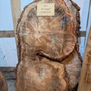 Maserpappel XXL Scheiben