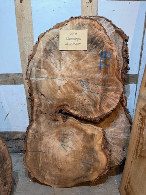 Maserpappel XXL Scheiben