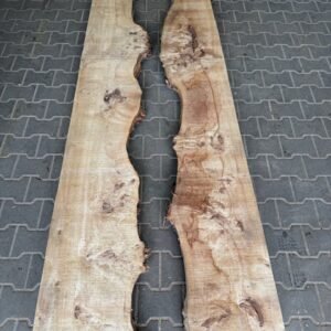 Maserpappel 300cm 8cm stark verschiedene Breiten