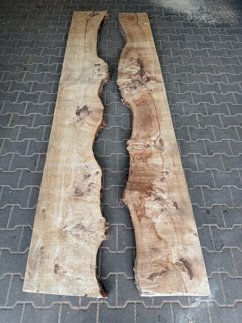 Maserpappel 300cm 8cm stark verschiedene Breiten