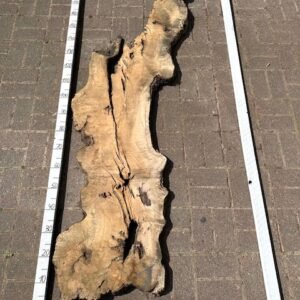 Olive Bohle Nr 1