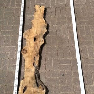 Olive Bohle Nr 5
