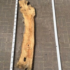Olive Bohle Nr 6