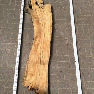 Olive Bohle Nr 7