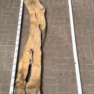 Olive Bohle Nr 9