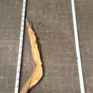 Olive Bohle Nr 13