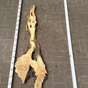 Olive Bohle Nr 16