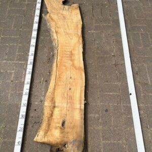 Olive Bohle Nr 18