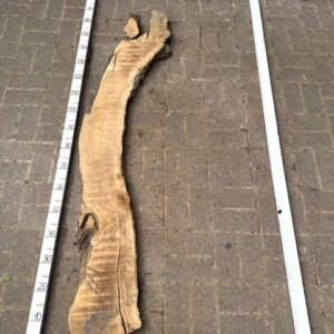 Olive Bohle Nr 19