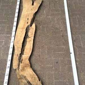 Olive Bohle Nr 29