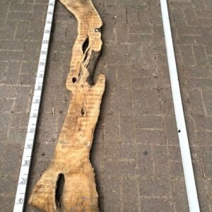 Olive Bohle Nr 4