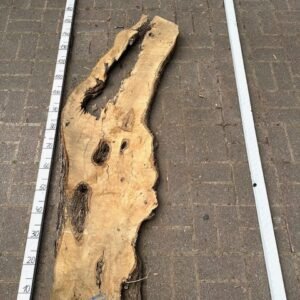Olive Bohle Nr 24