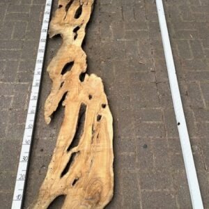 Olive Bohle Nr 25