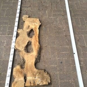 Olive Bohle Nr 27