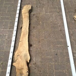 Olive Bohle Nr 28