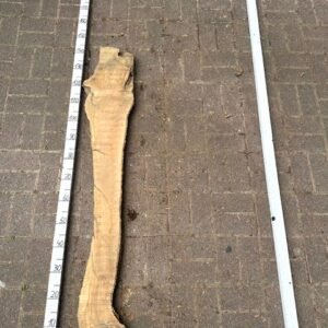 Olive Bohle Nr 29