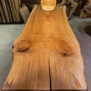 Pappel 290x90-100x8cm