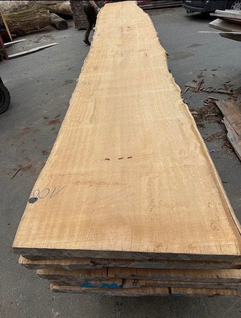 Angelim Pedra Sapupira 700x100cm XXXXL Bohlen