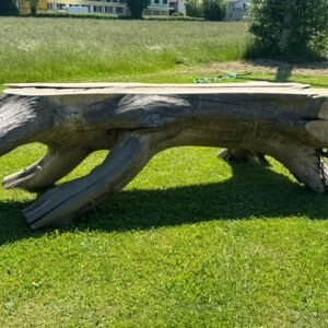 Nussbaum Theke Empfangstresen aus einem Stamm